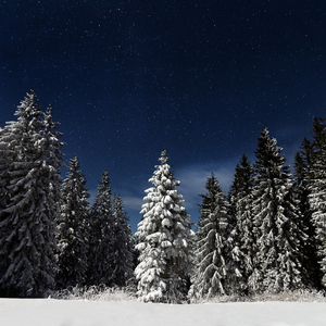 国产色拍高清视频

