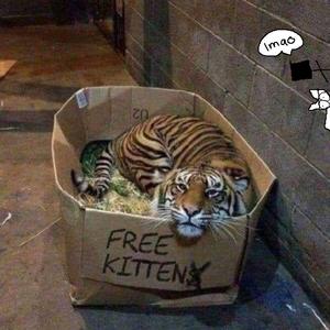 国产色拍高清视频
