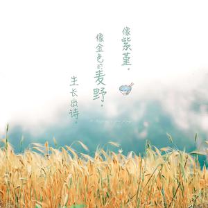 国产色拍高清视频
